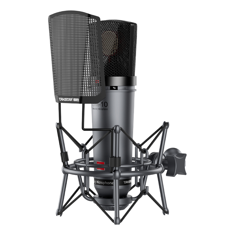 TAKSTAR SM-10