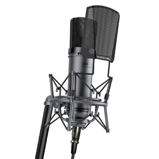 TAKSTAR SM-10 Professional Condenser Microphone